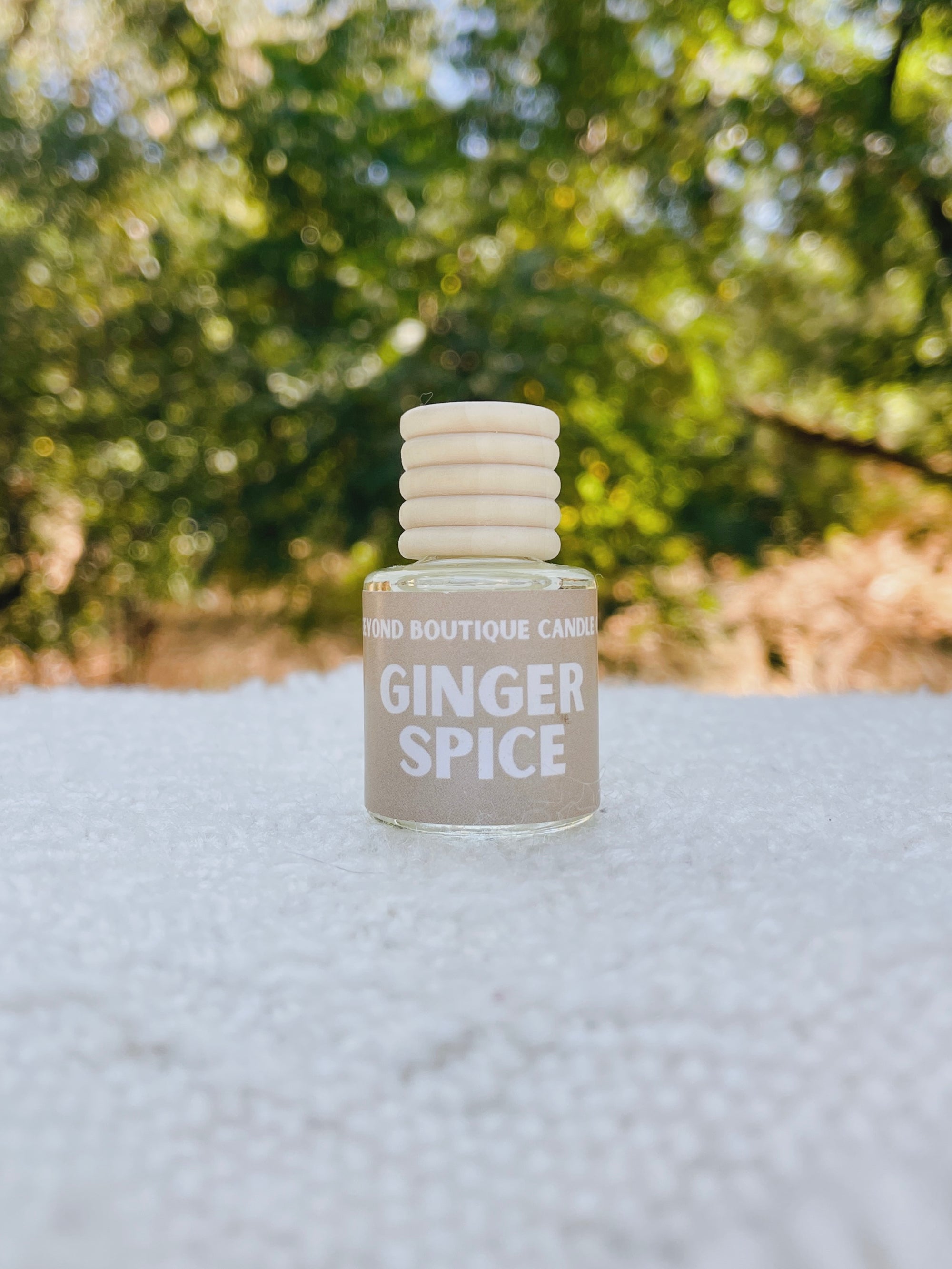 Ginger Spice Seasonal Clean Car Scents