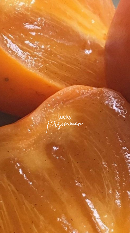 Lucky Persimmon 10 OZ. Luxury Soy Candle